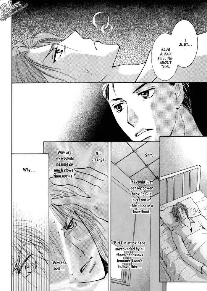 Taiyou no Romance 14