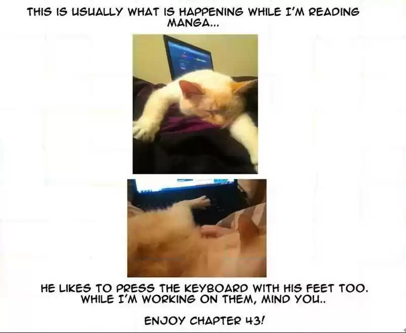 Takane to Hana Vol. 8 Ch. 43