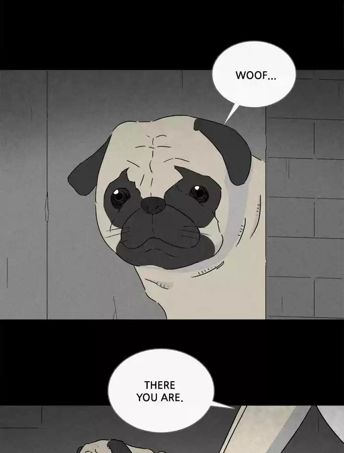 Tales of the unusual 239