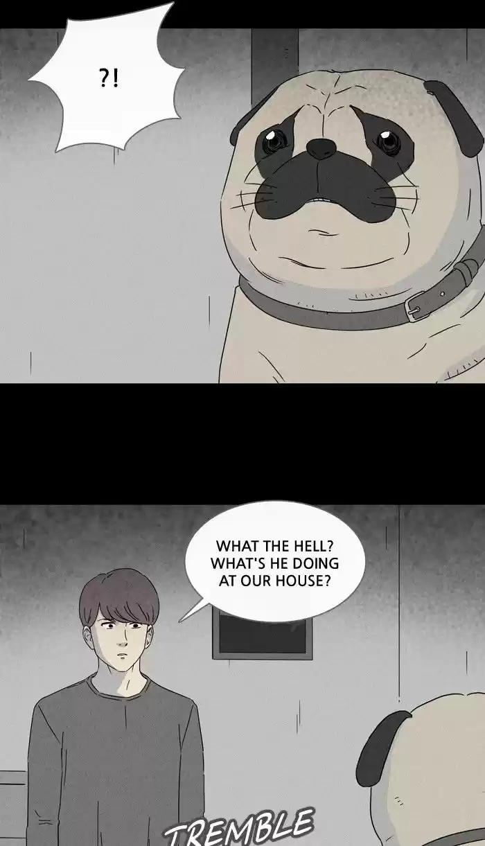 Tales of the unusual 239