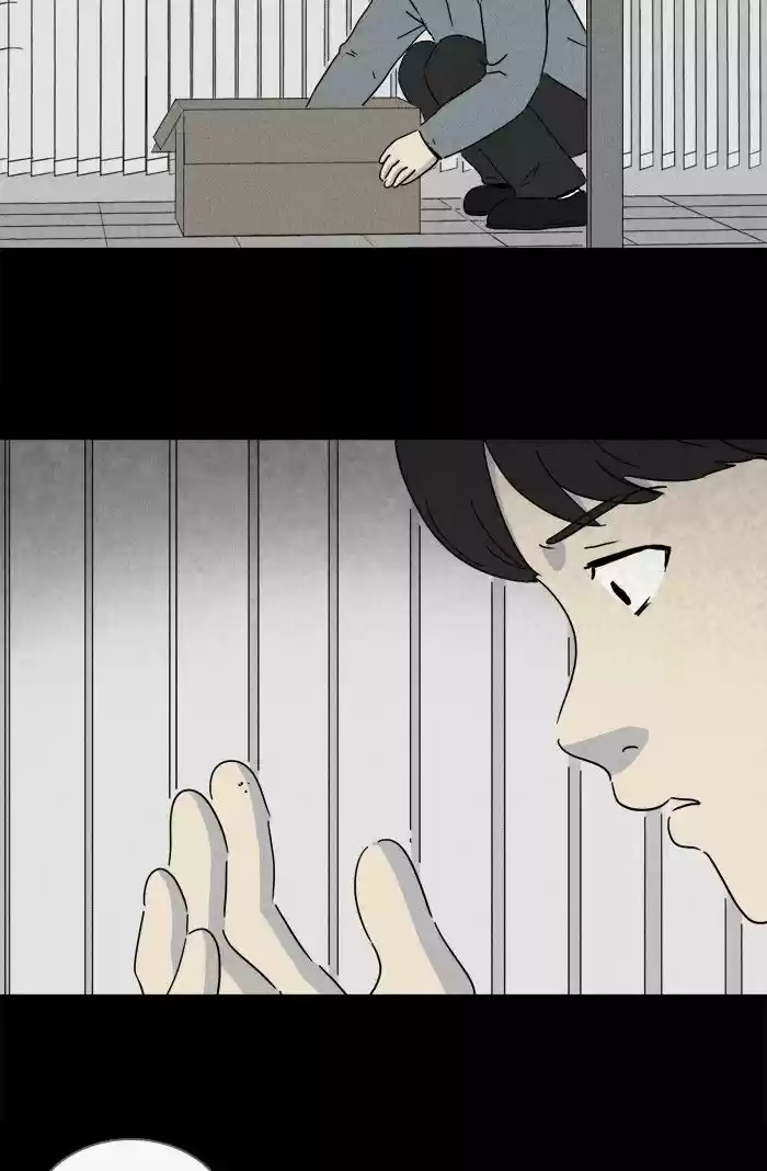 Tales of the unusual 241