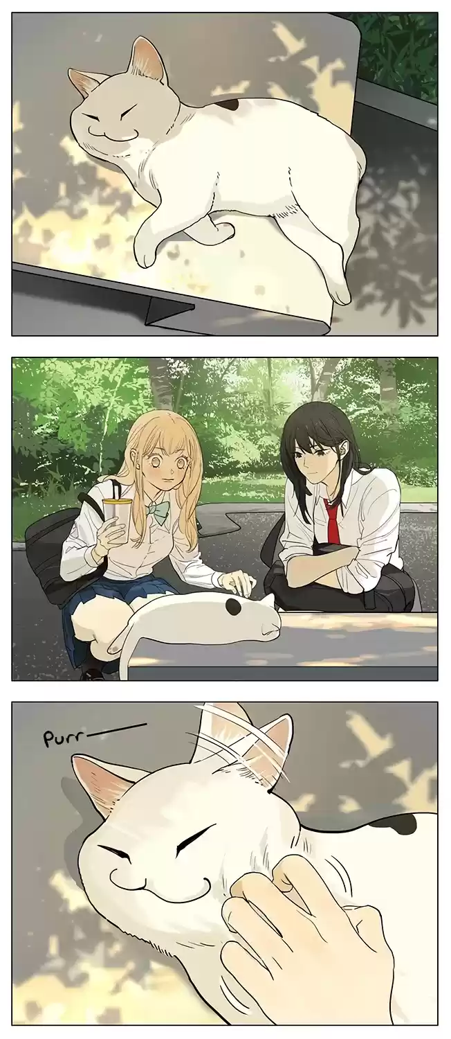 Tamen De Gushi Chapter 205: Cat.