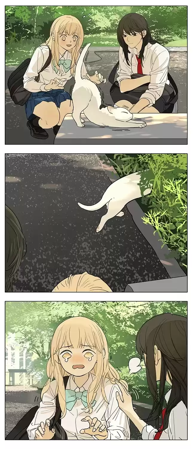 Tamen De Gushi Chapter 205: Cat.