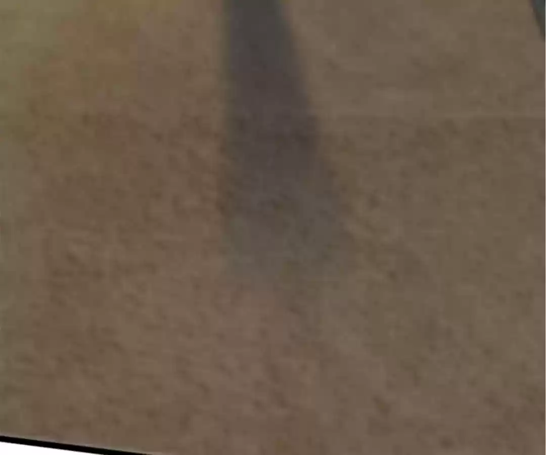 Taming The Possessive Girl Chapter 103