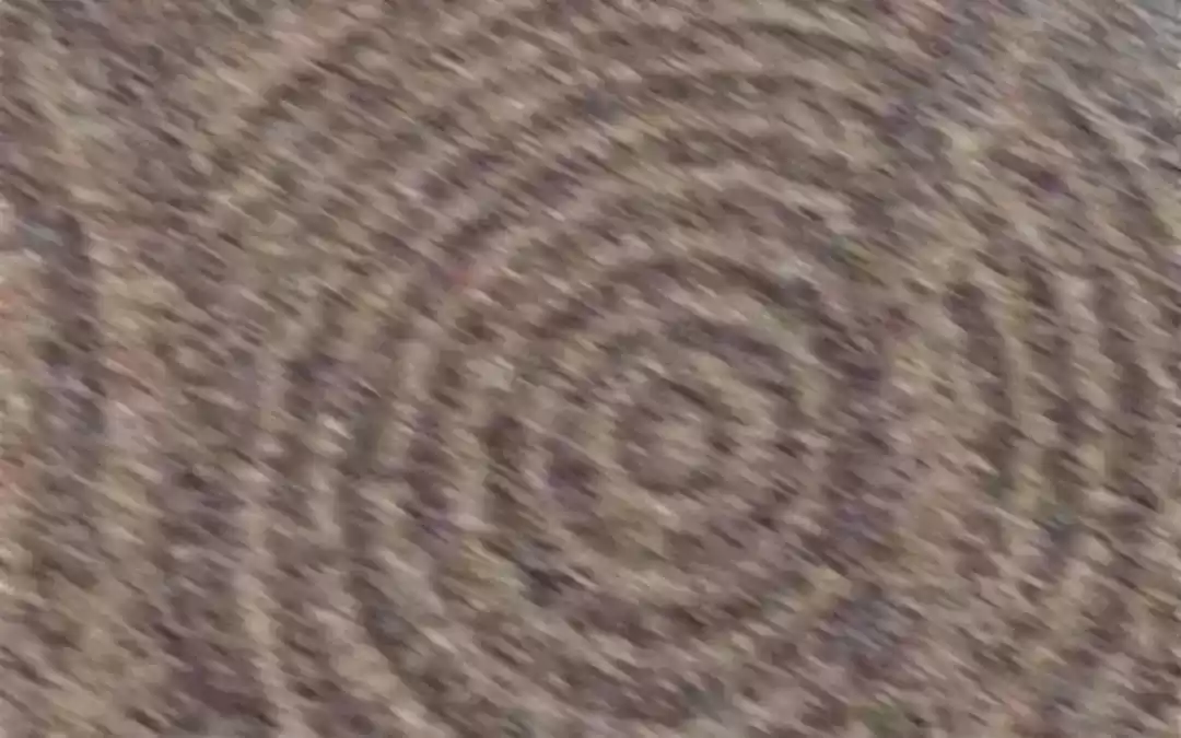 Taming The Possessive Girl Chapter 11: