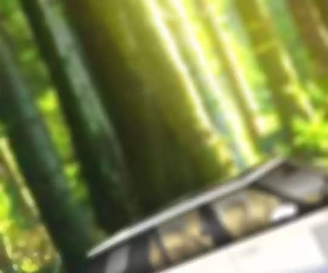 Taming The Possessive Girl Chapter 163