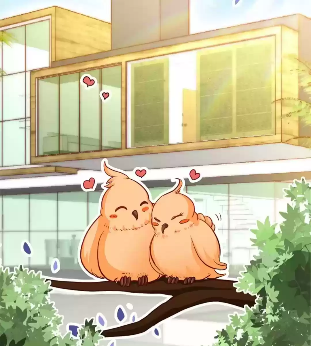 Taming The Possessive Girl Chapter 206