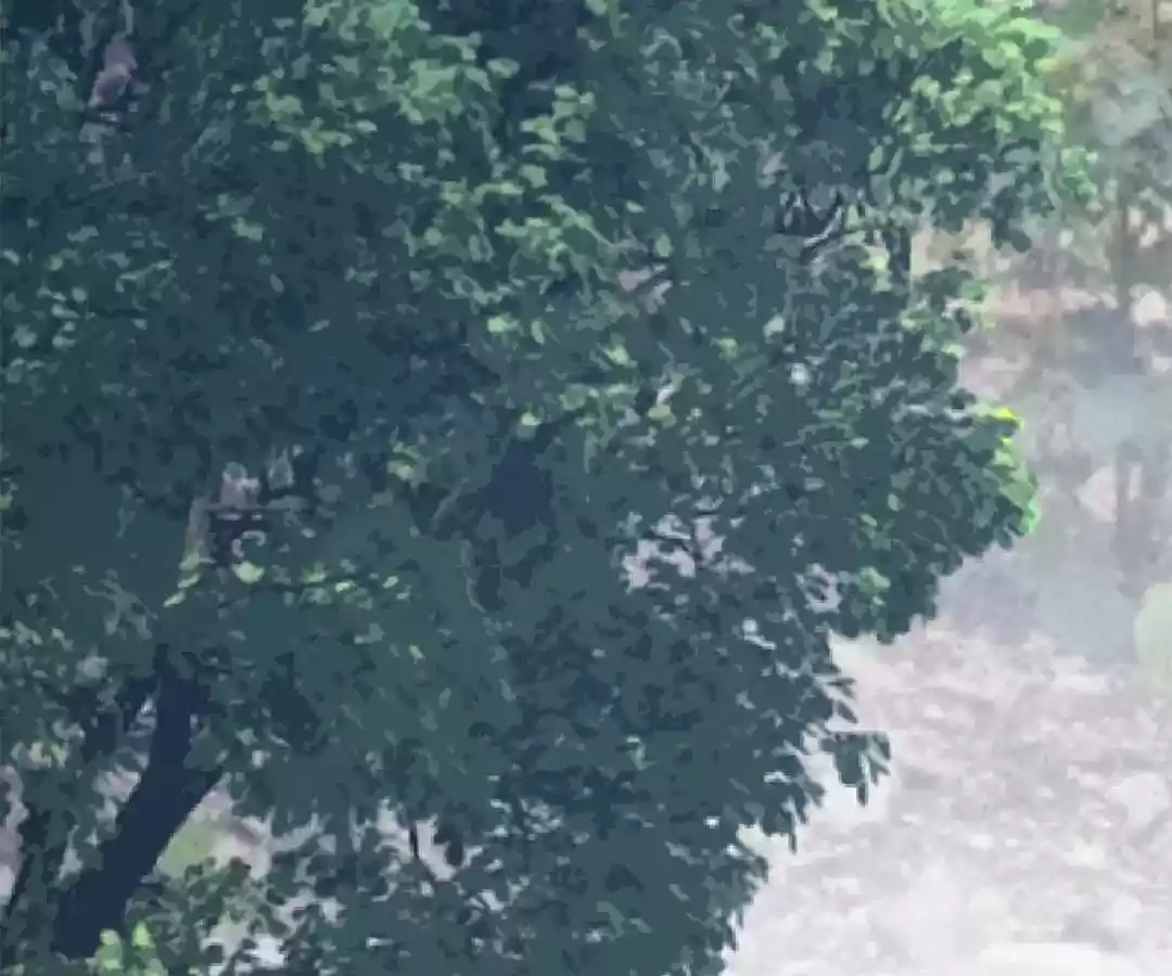 Taming The Possessive Girl Chapter 57