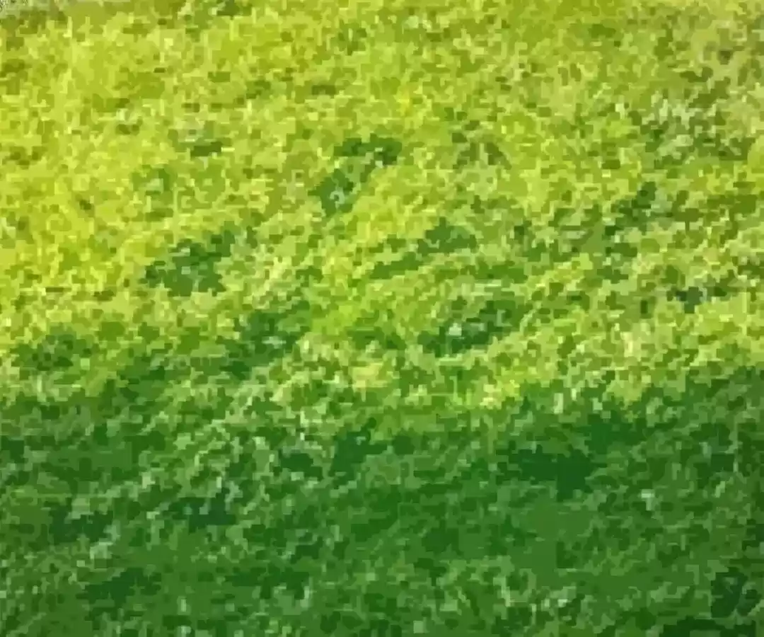 Taming The Possessive Girl Chapter 79