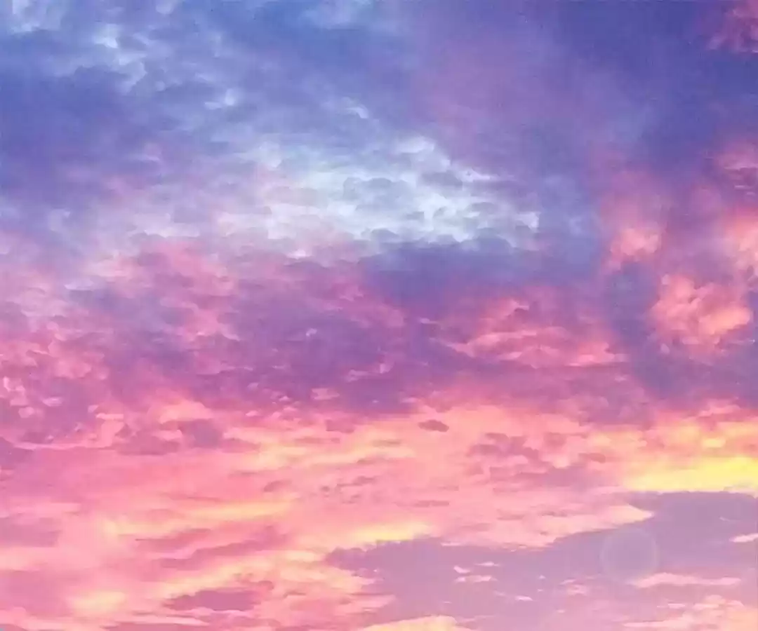 Taming The Possessive Girl Chapter 81