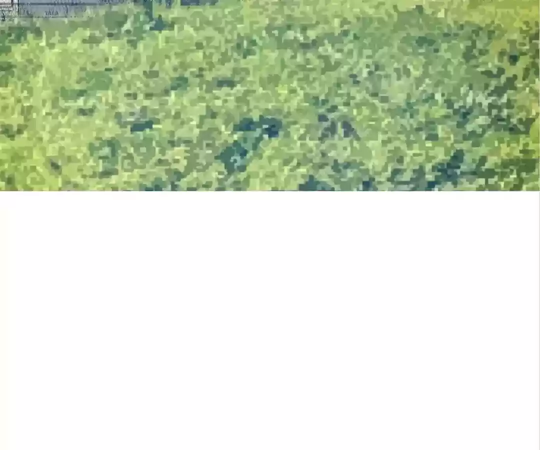 Taming The Possessive Girl Chapter 83