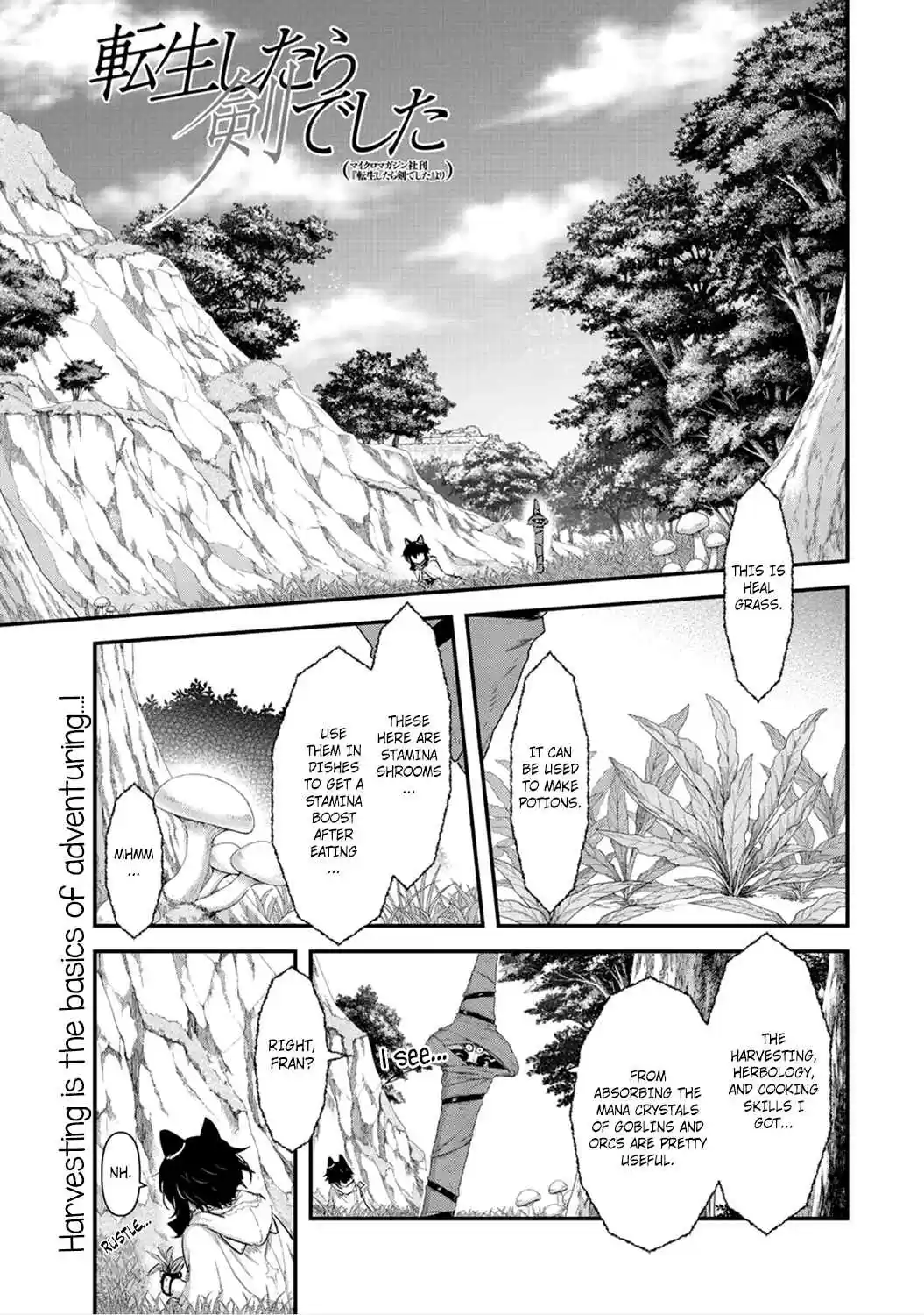 Tensei Shitara Ken deshita Ch.8