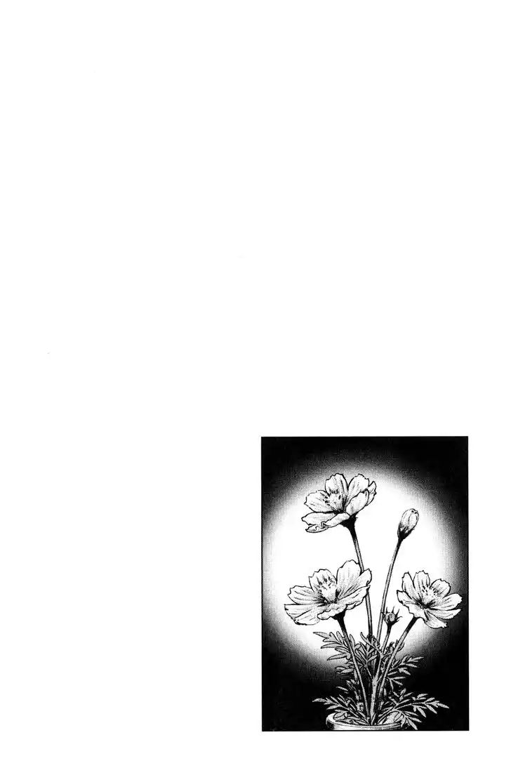 Tenshi no Kokoro de Vol.25 Ch.273