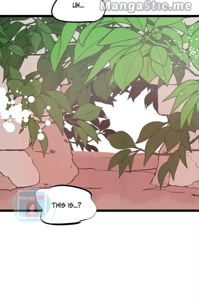 The 13Th Night Chapter 100