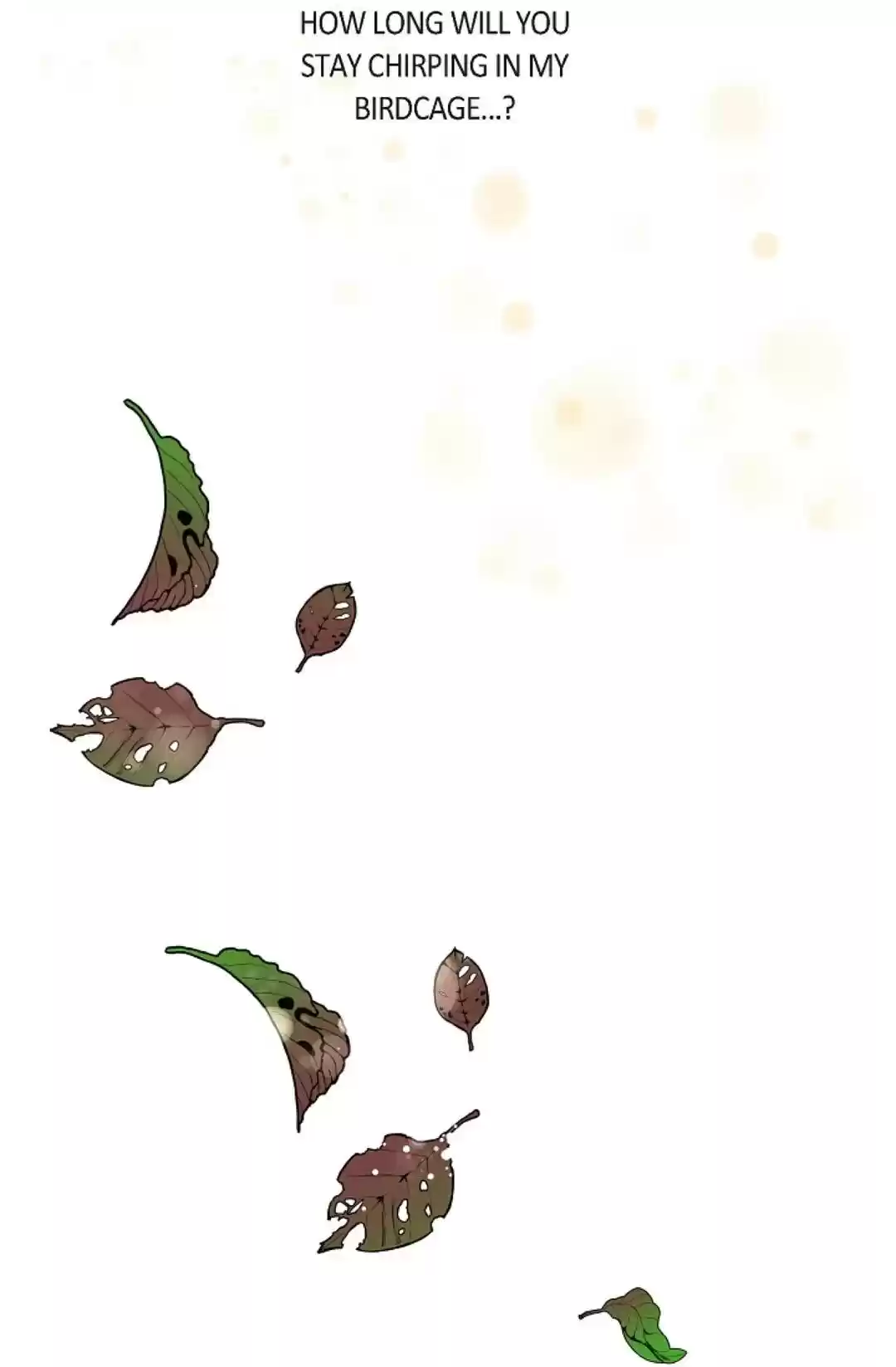 The 13Th Night Chapter 13