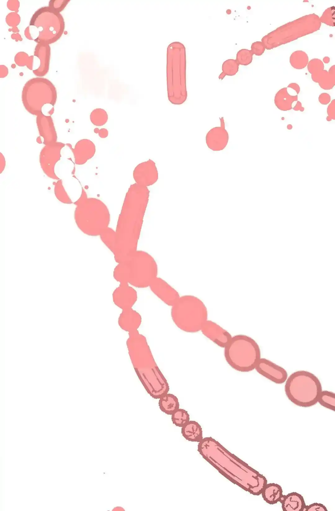 The 13th Night Chapter 186