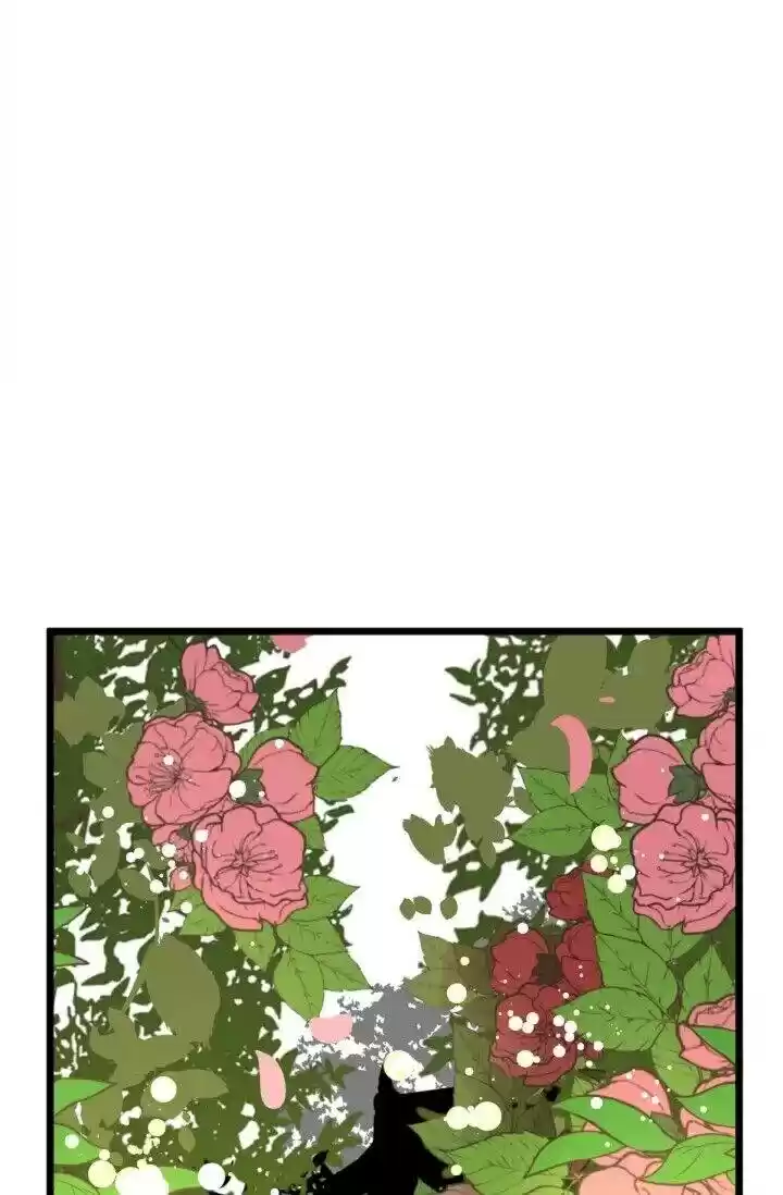 The 13Th Night Chapter 24