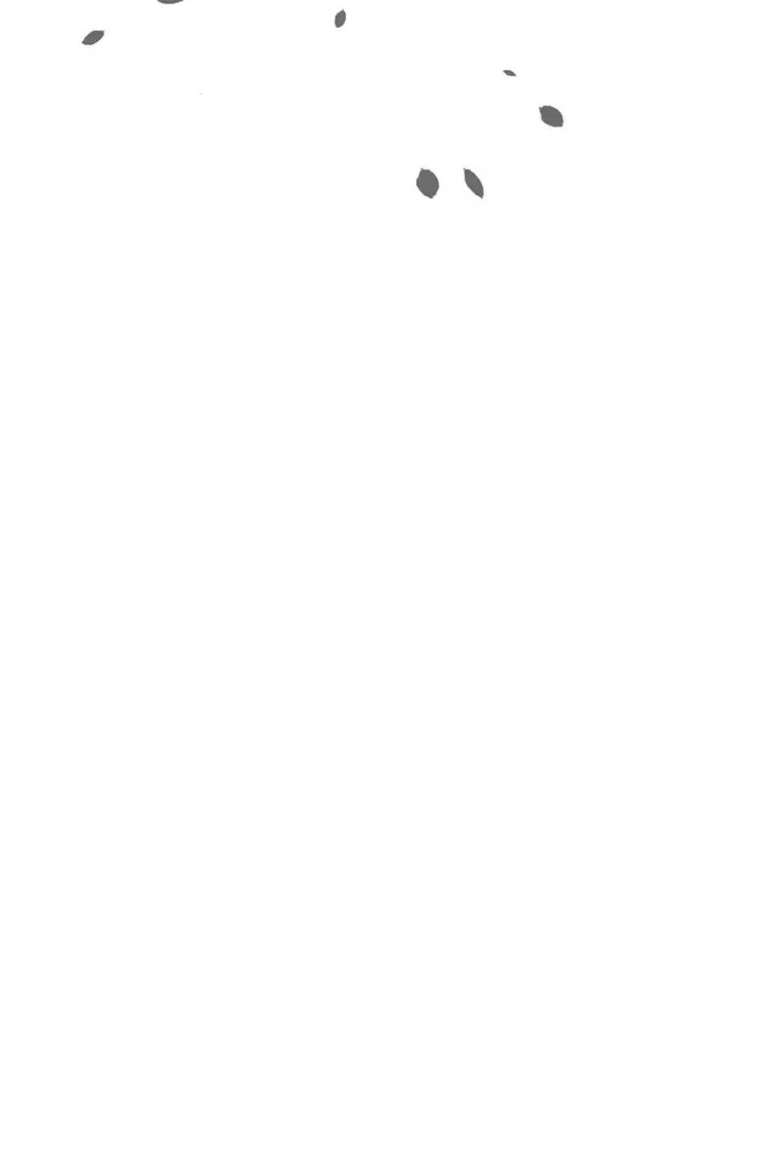 The 13Th Night Chapter 28