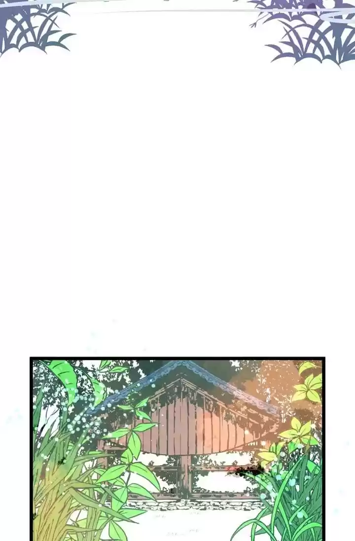 The 13Th Night Chapter 3