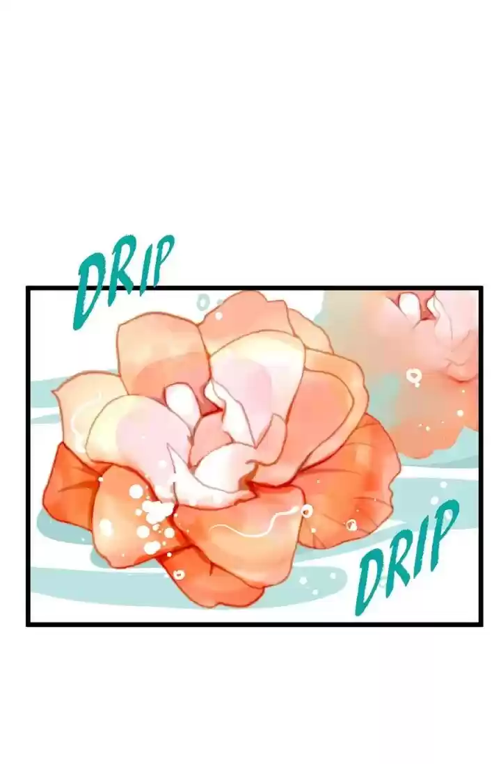 The 13Th Night Chapter 5