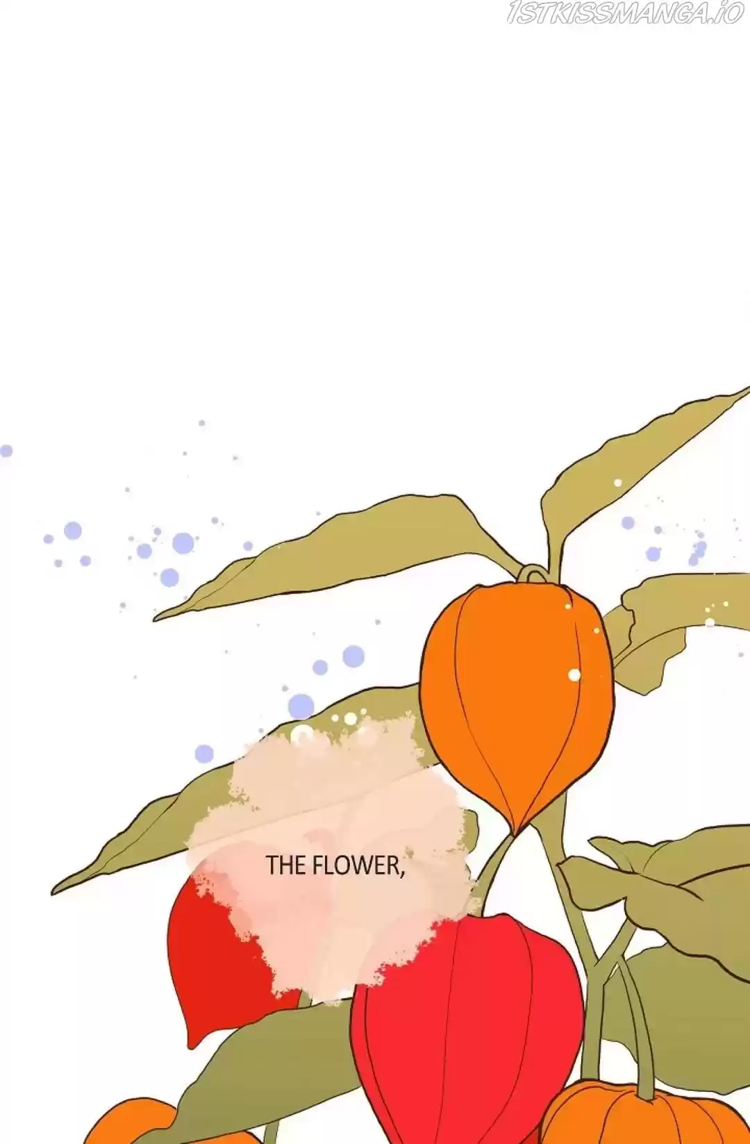 The 13Th Night Chapter 56