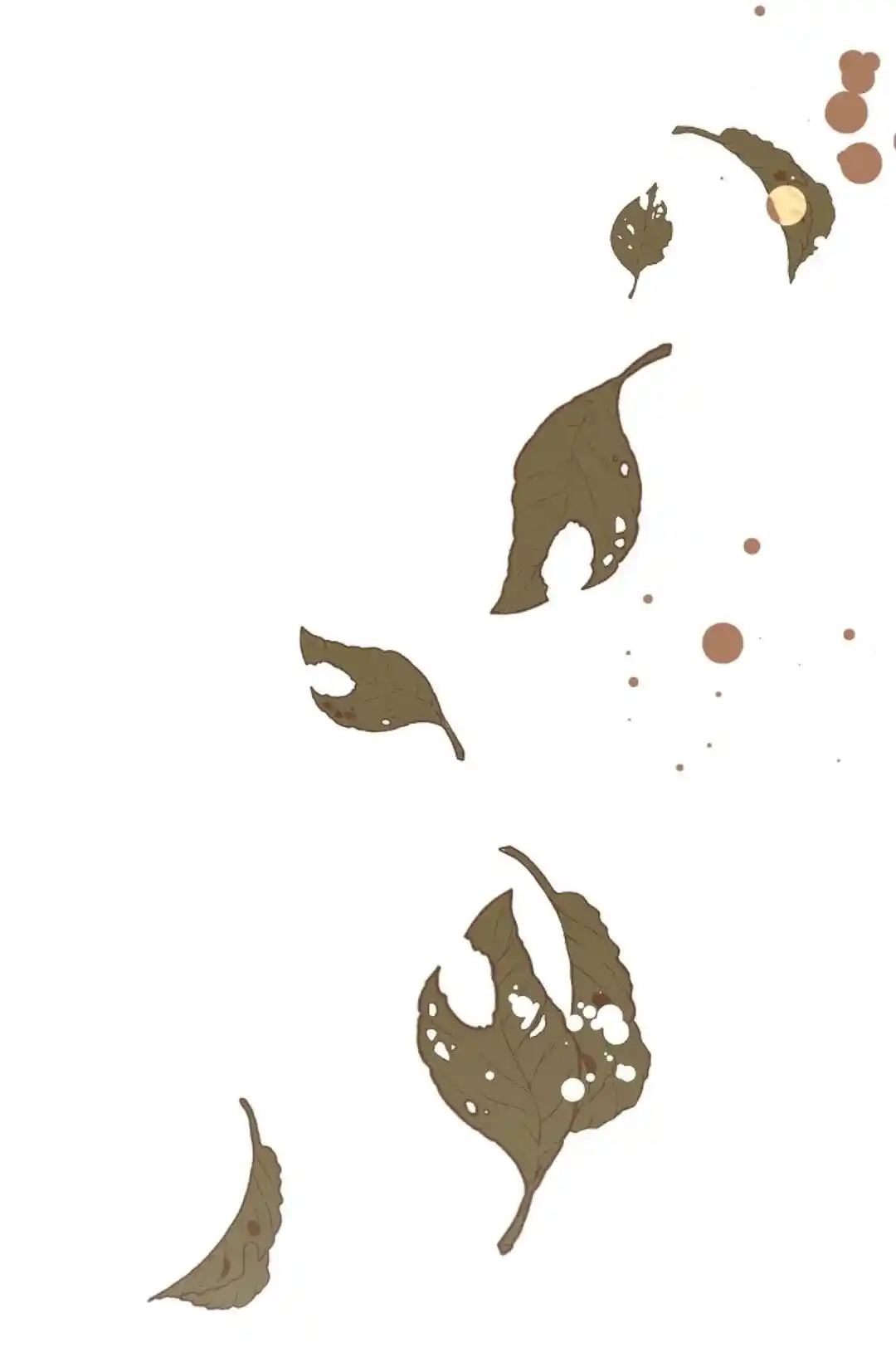 The 13Th Night Chapter 69