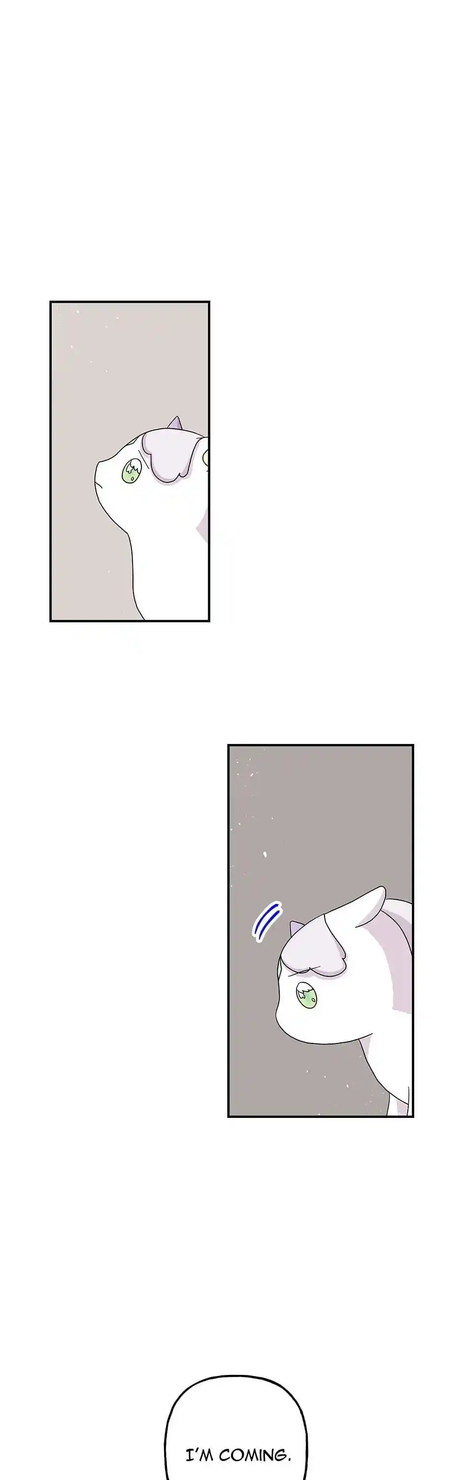 The Archmage's Daughter Chapter 114