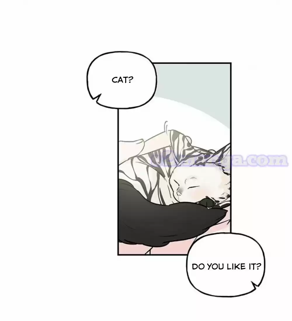 The Archmage's Daughter Chapter 16