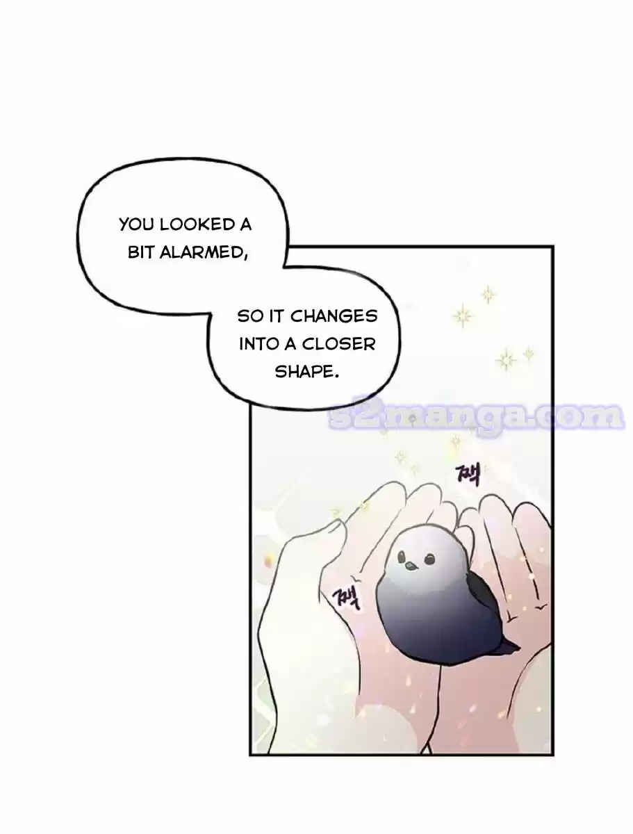 The Archmage's Daughter Chapter 16