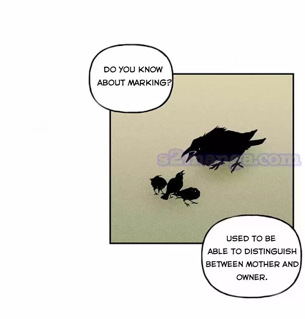 The Archmage's Daughter Chapter 16