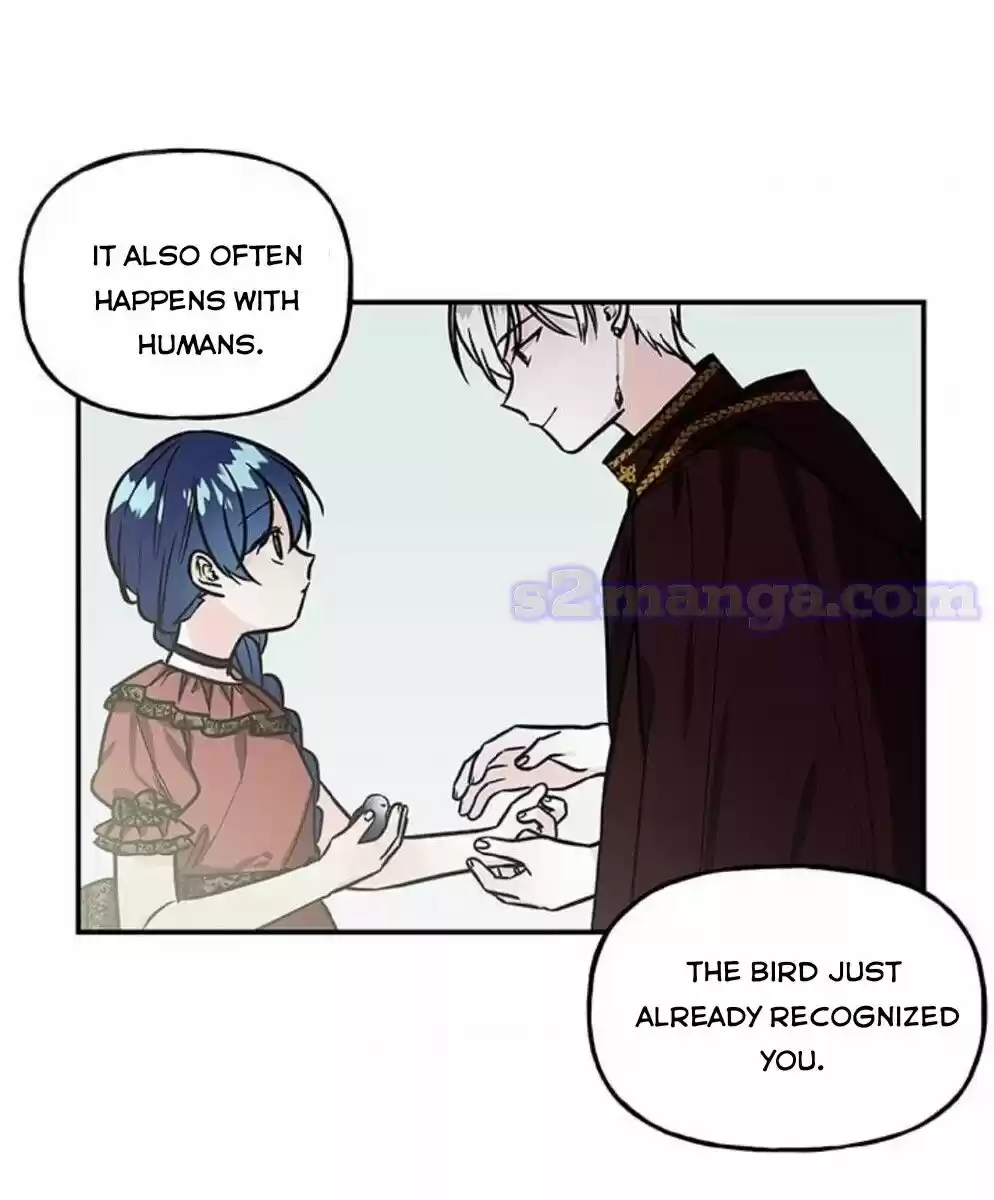 The Archmage's Daughter Chapter 16