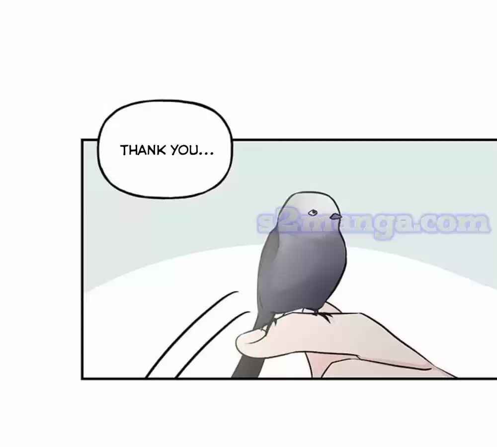 The Archmage's Daughter Chapter 16