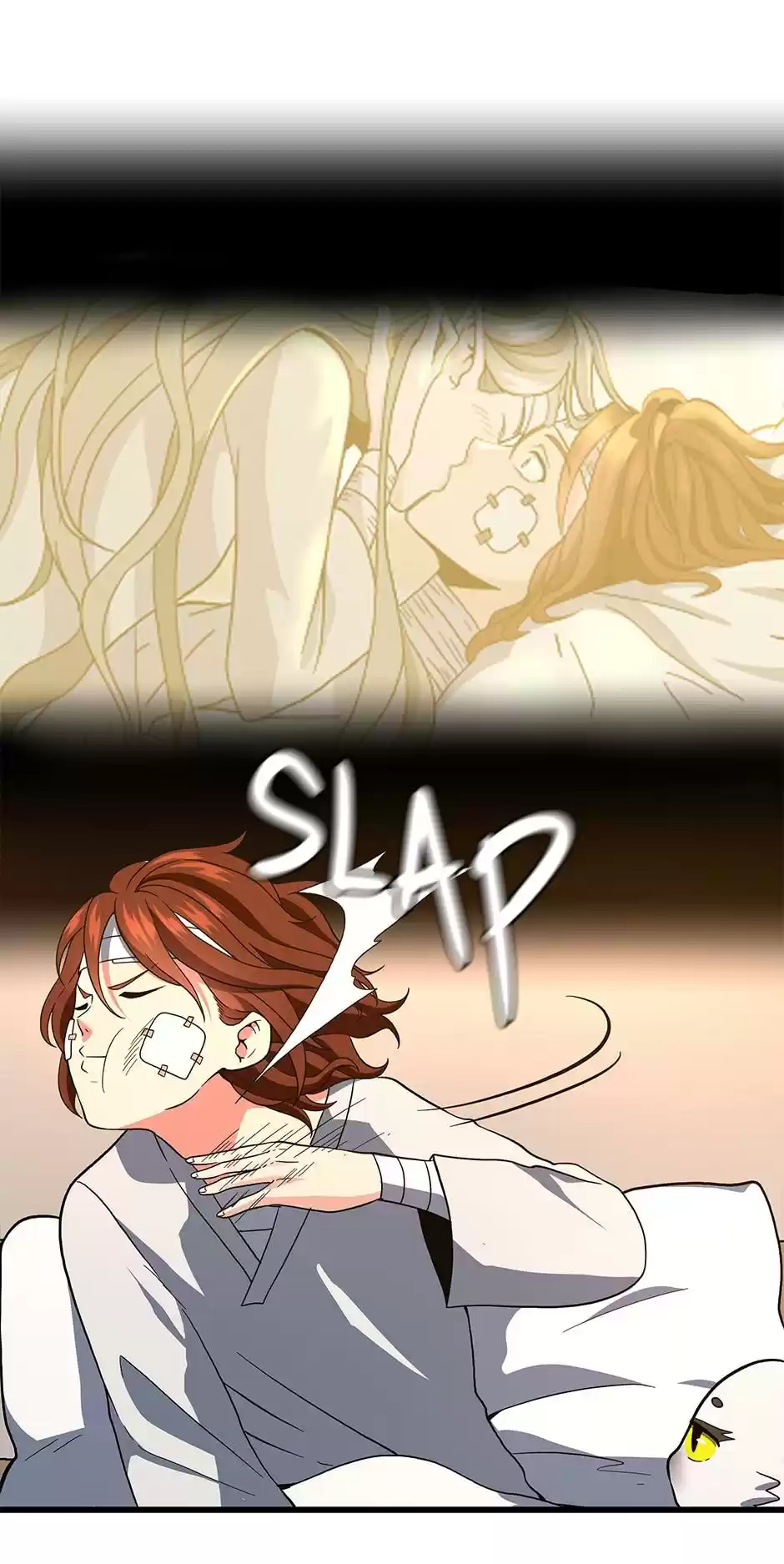 The Beginning After The End Chapter 102