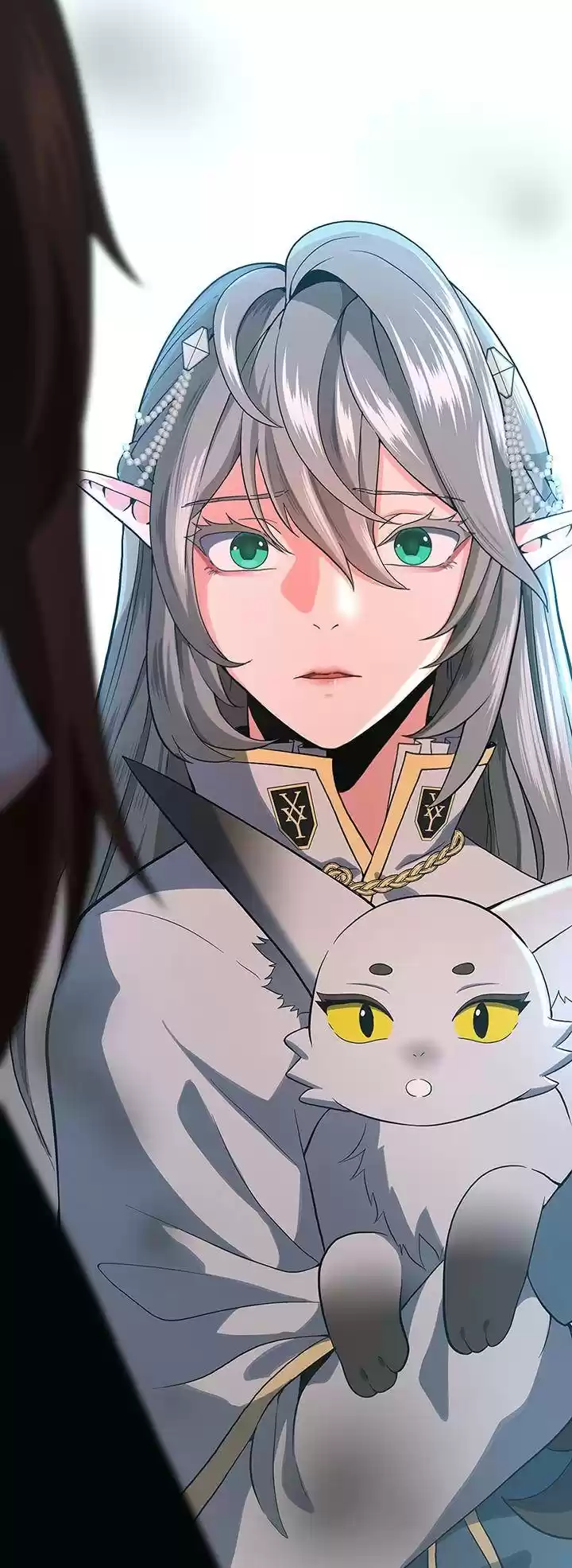 The Beginning After The End Chapter 109