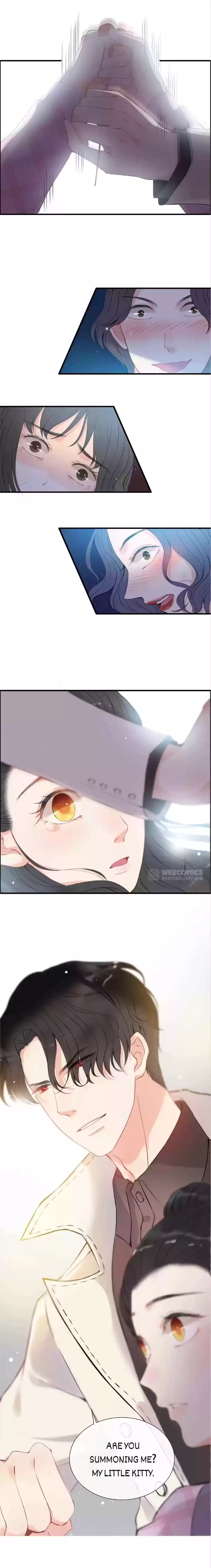 The Boss Shotgun Wedding Chapter 105