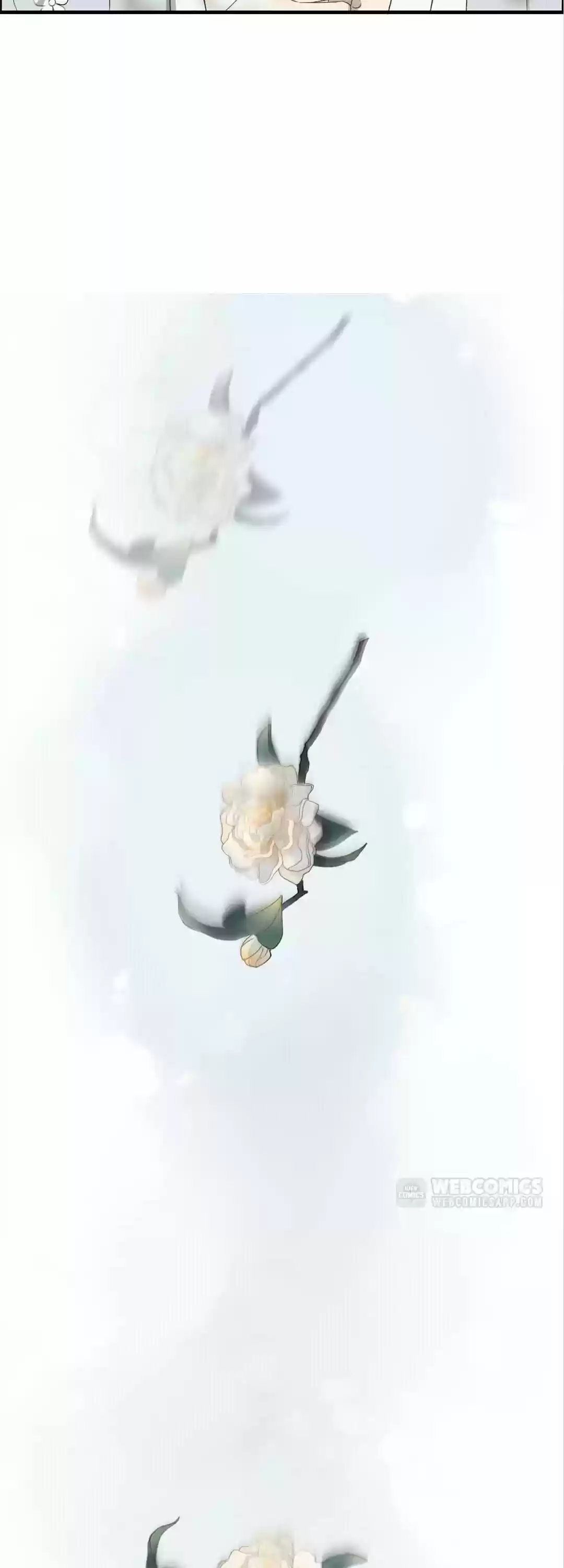 The Boss Shotgun Wedding Chapter 162