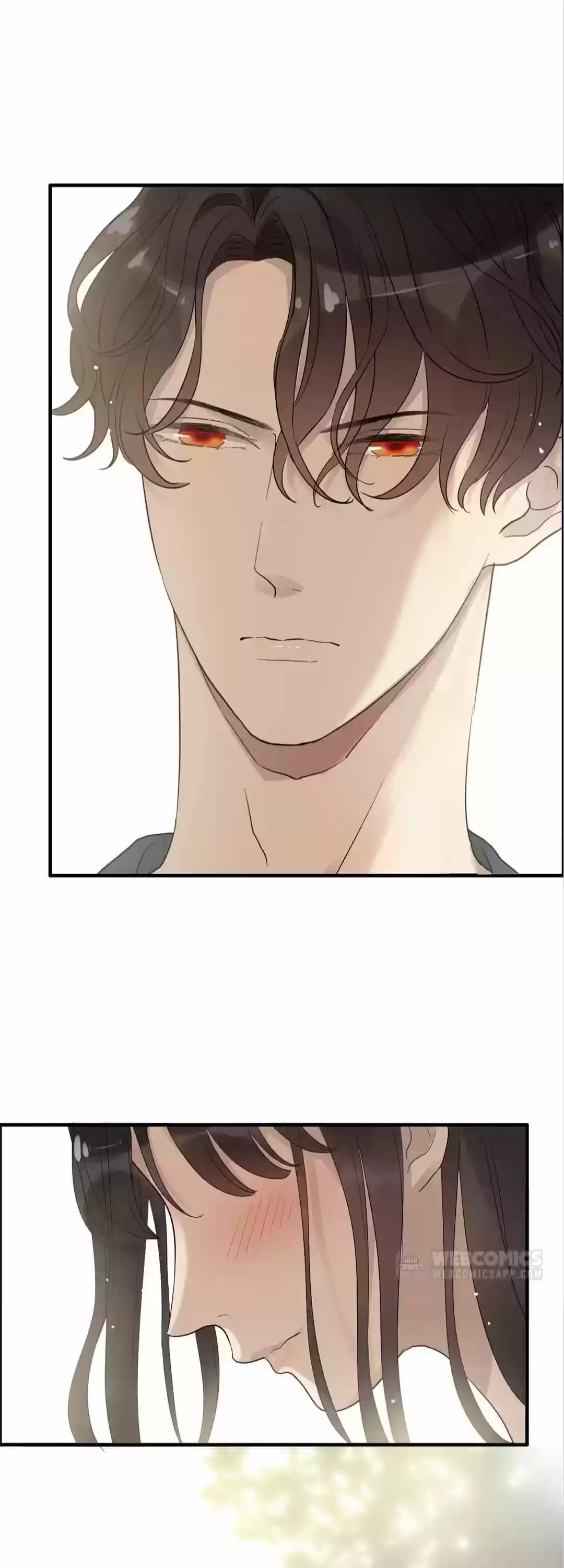 The Boss Shotgun Wedding Chapter 164