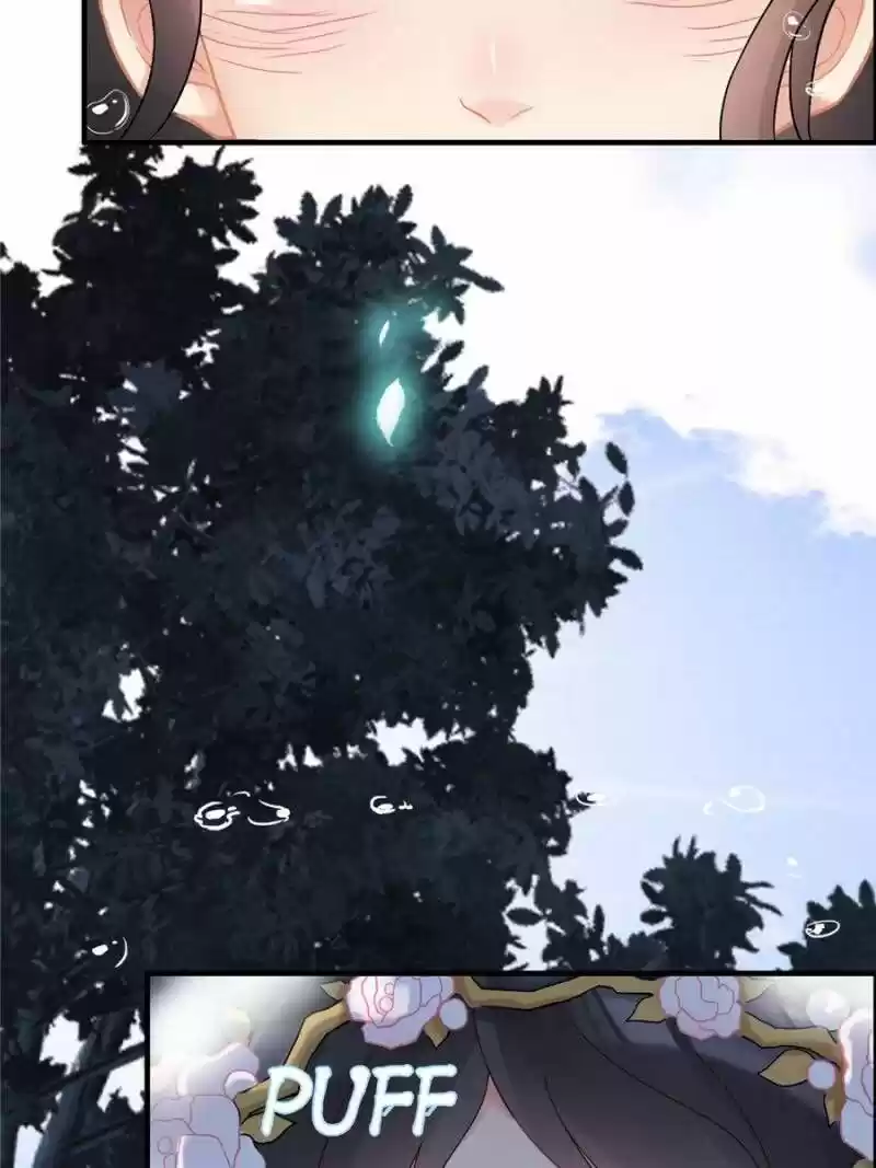 The Boss Shotgun Wedding Chapter 17