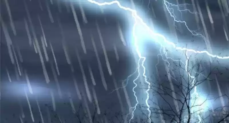 The Boss Shotgun Wedding Chapter 2