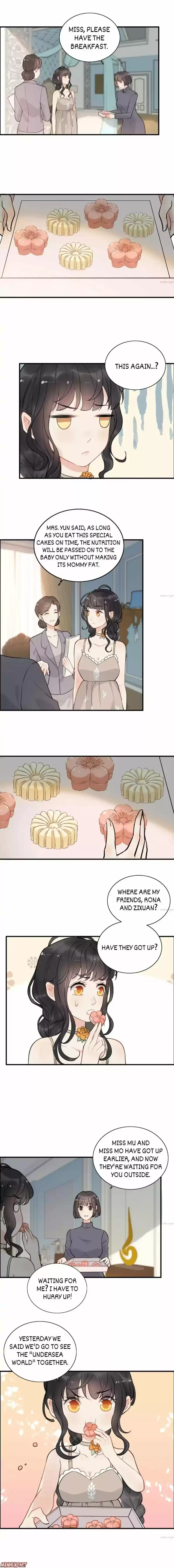 The Boss Shotgun Wedding Chapter 205