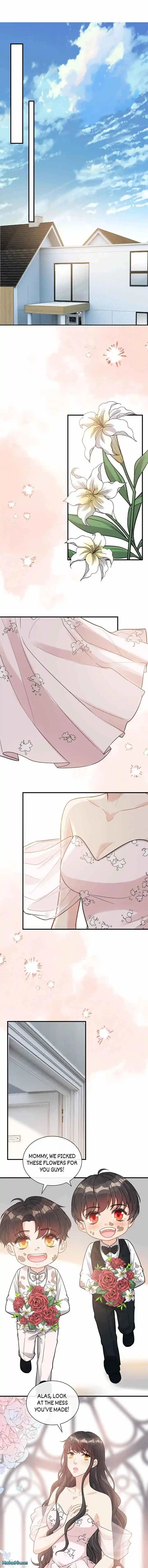 The Boss Shotgun Wedding Chapter 535