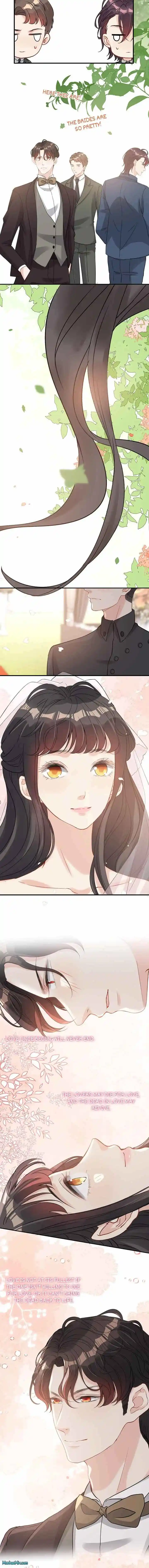 The Boss Shotgun Wedding Chapter 535