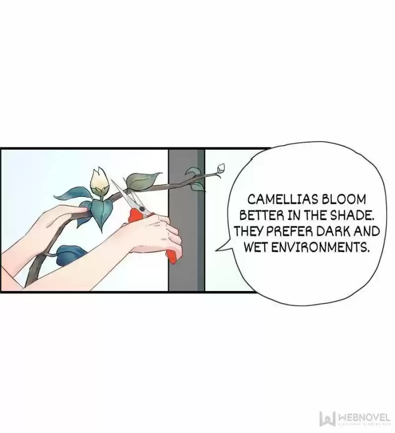 The Boss Shotgun Wedding Chapter 9