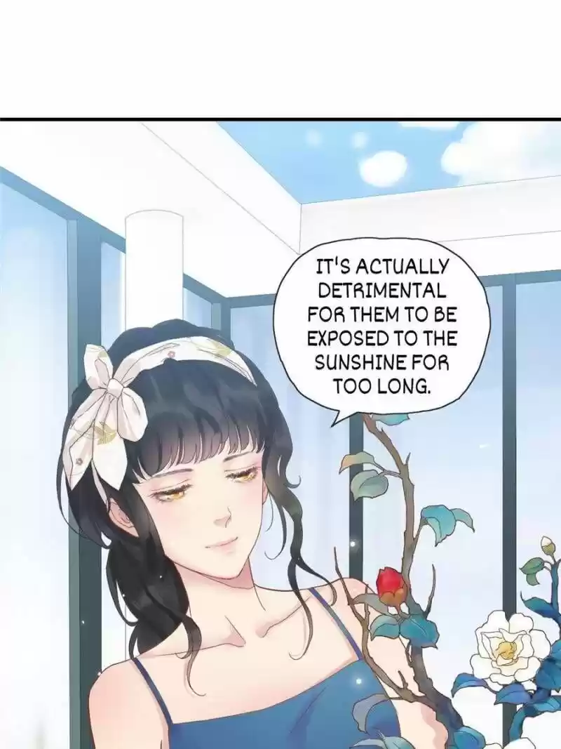 The Boss Shotgun Wedding Chapter 9