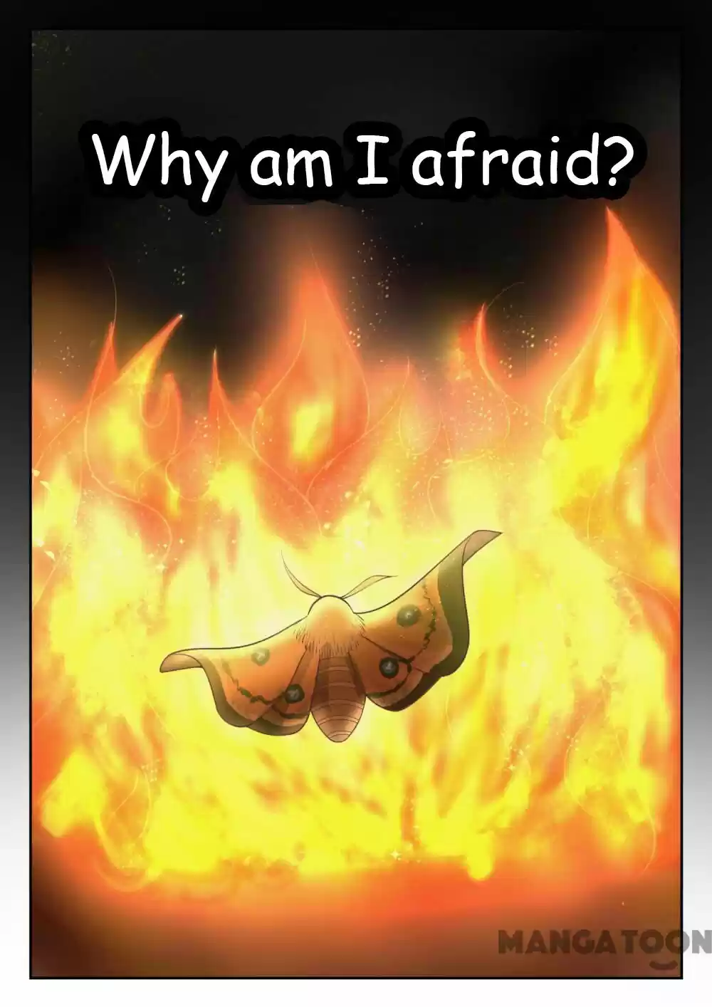 The Boy In The All-Girls School Chapter 342