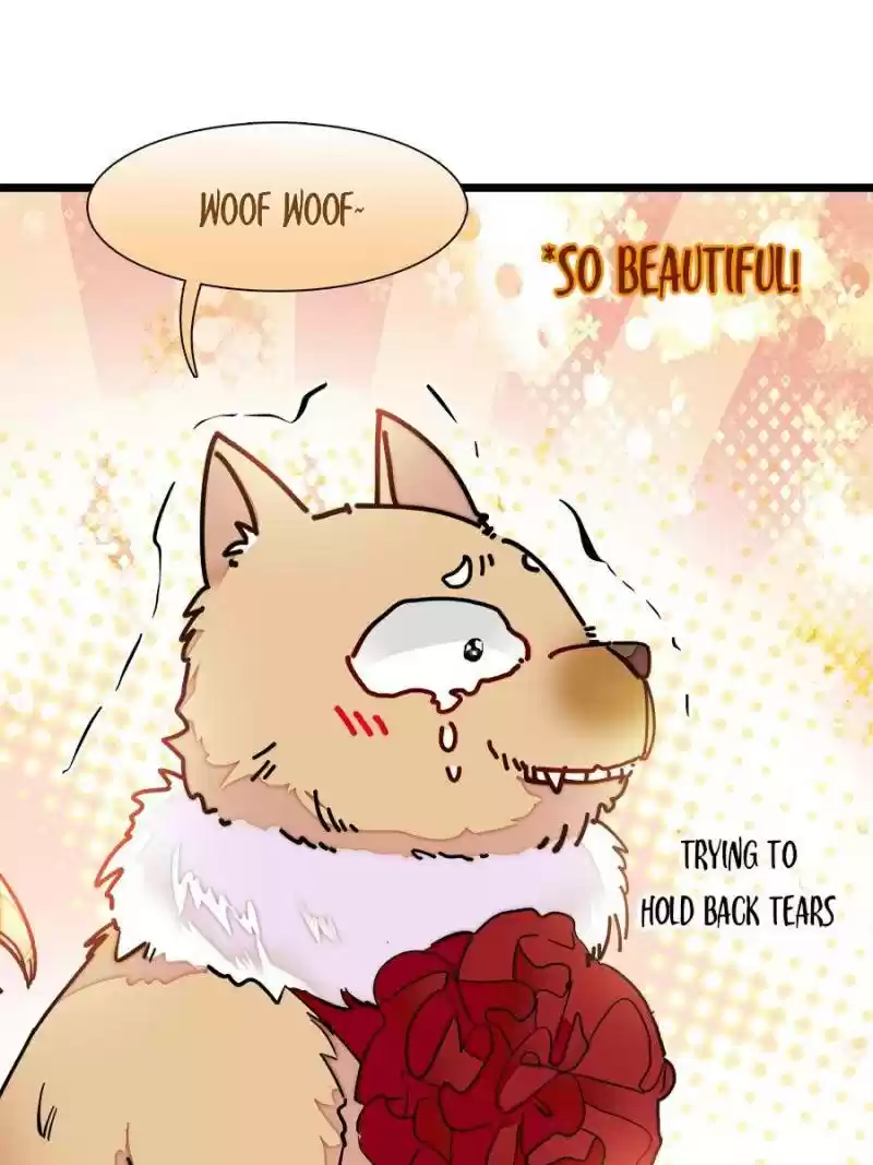 The Brocaded Tale Of The Girl Si Chapter 134