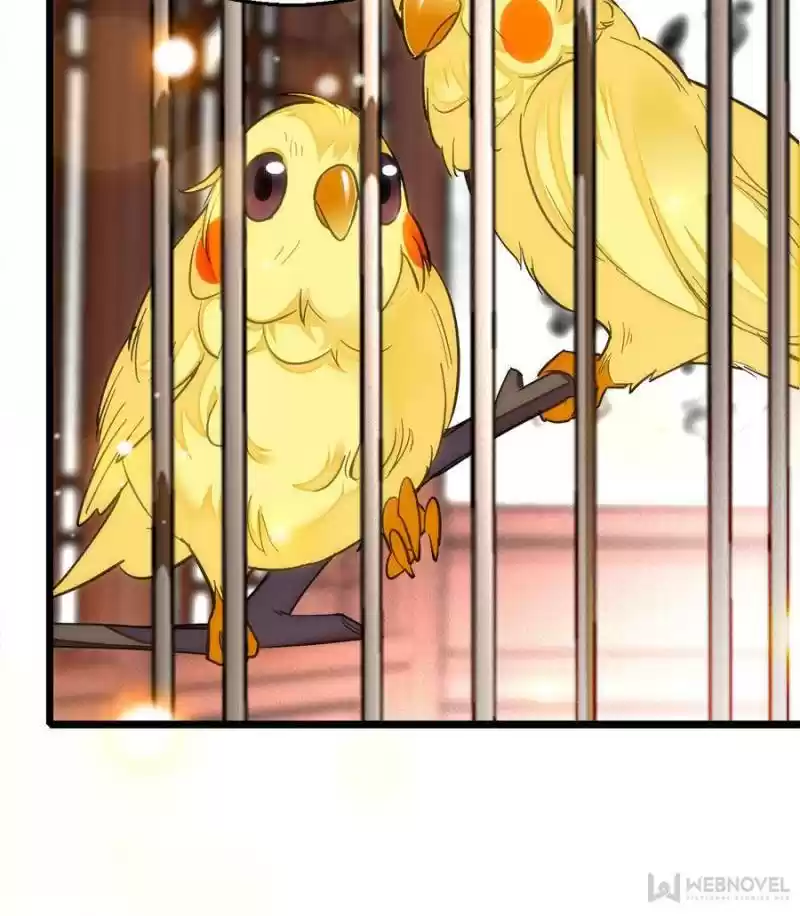 The Brocaded Tale Of The Girl Si Chapter 14