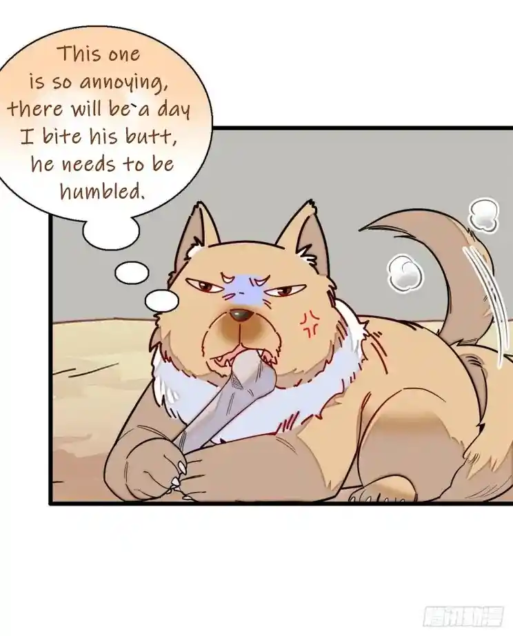 The Brocaded Tale Of The Girl Si Chapter 215