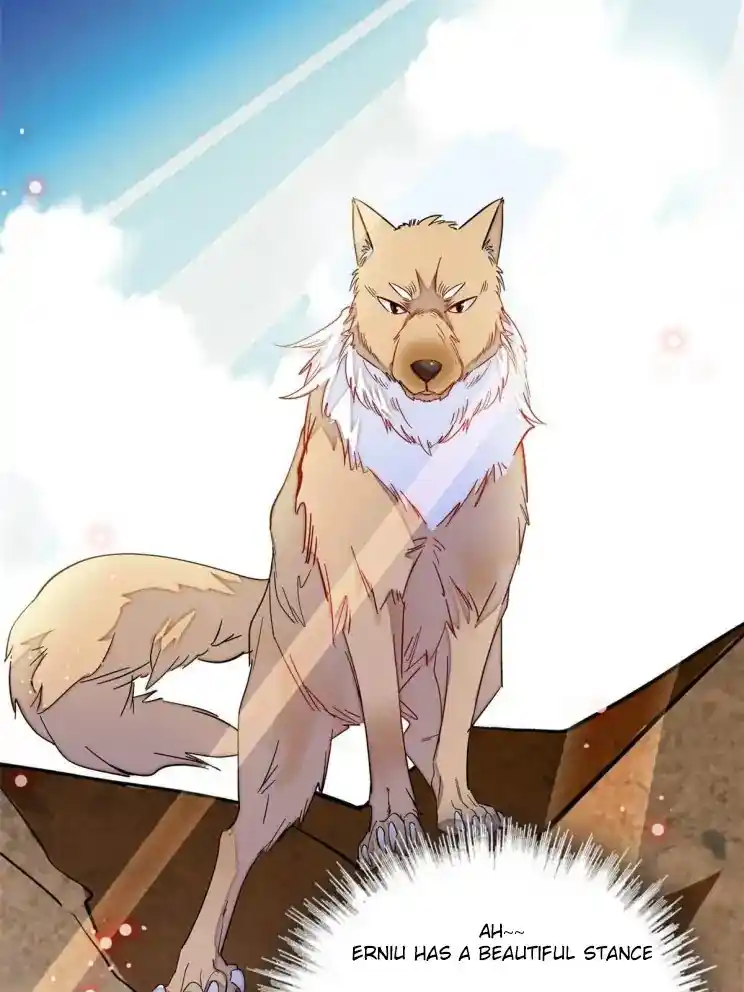 The Brocaded Tale Of The Girl Si Chapter 227