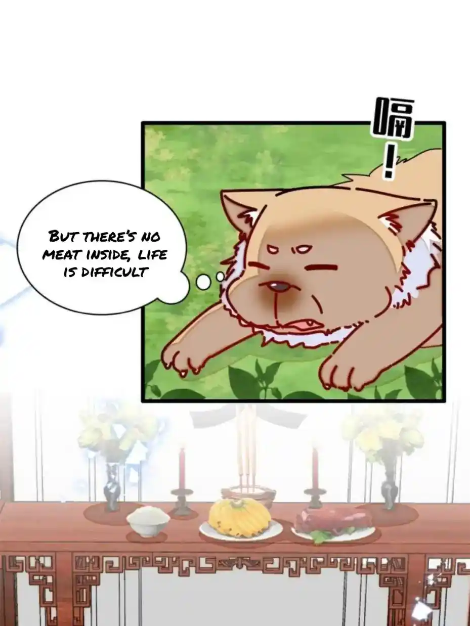 The Brocaded Tale Of The Girl Si Chapter 231